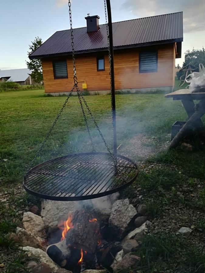 Vila Stawiska Nad Tanwia Jedrzejowka Exteriér fotografie