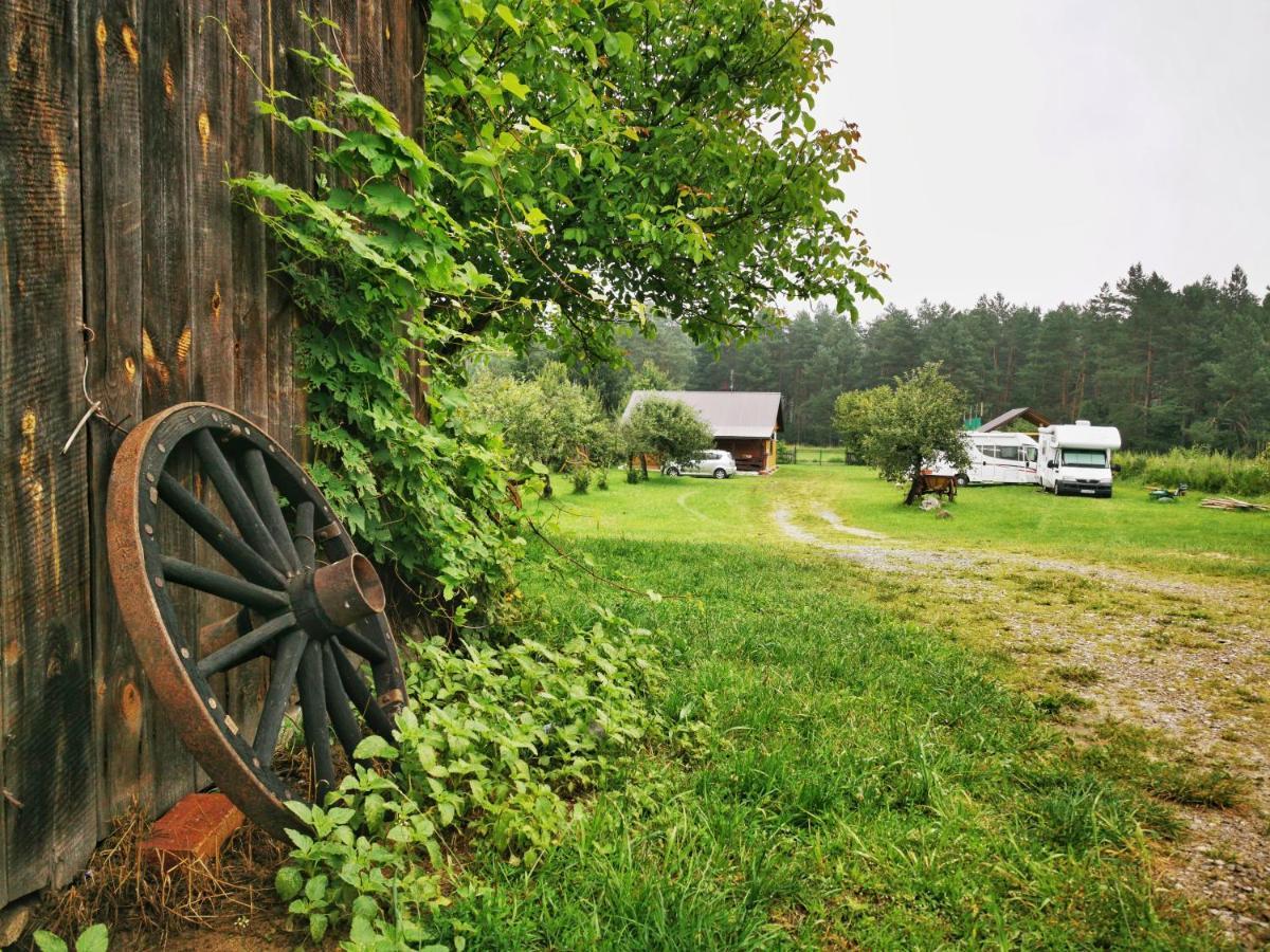 Vila Stawiska Nad Tanwia Jedrzejowka Exteriér fotografie